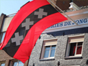 Stadswandeling Amsterdam